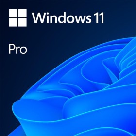 Licenta OEM Microsoft Windows 11 Pro 64 bit English - SriHome.ro