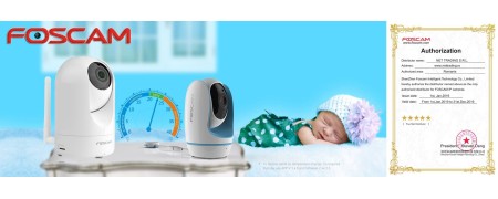 Camere wireless Foscam